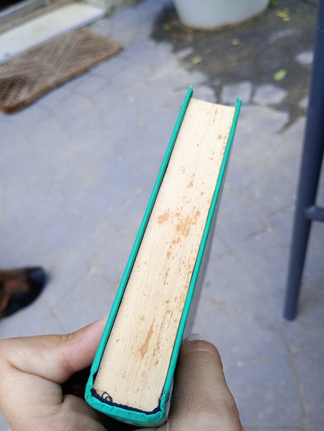 El chico del millón