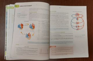 Libro Biología y Geología 3°ESO