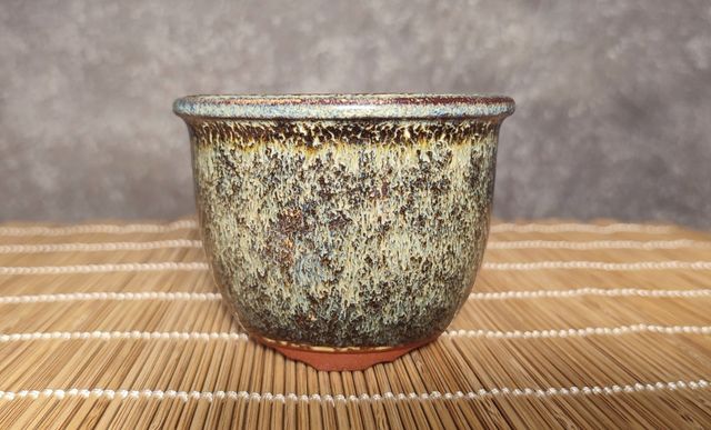 Maceta bonsai Eimei Yozan