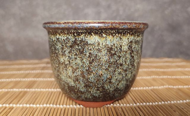 Maceta bonsai Eimei Yozan