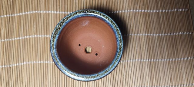 Maceta bonsai Eimei Yozan