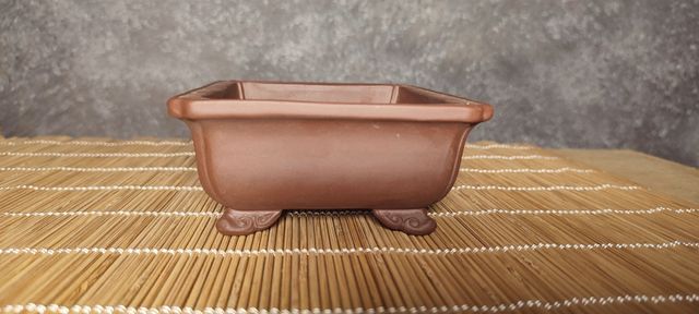 Maceta bonsai china contemporánea