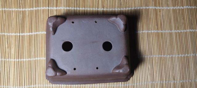 Maceta bonsai china contemporánea