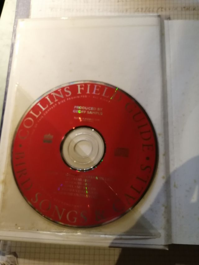 Canzoni e canti degli uccelli