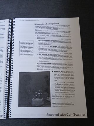 Didactica de la educación infantil