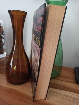 Libro/ El niño Republicano