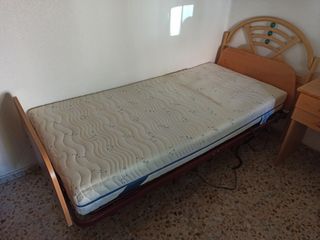 Cama ortopédica