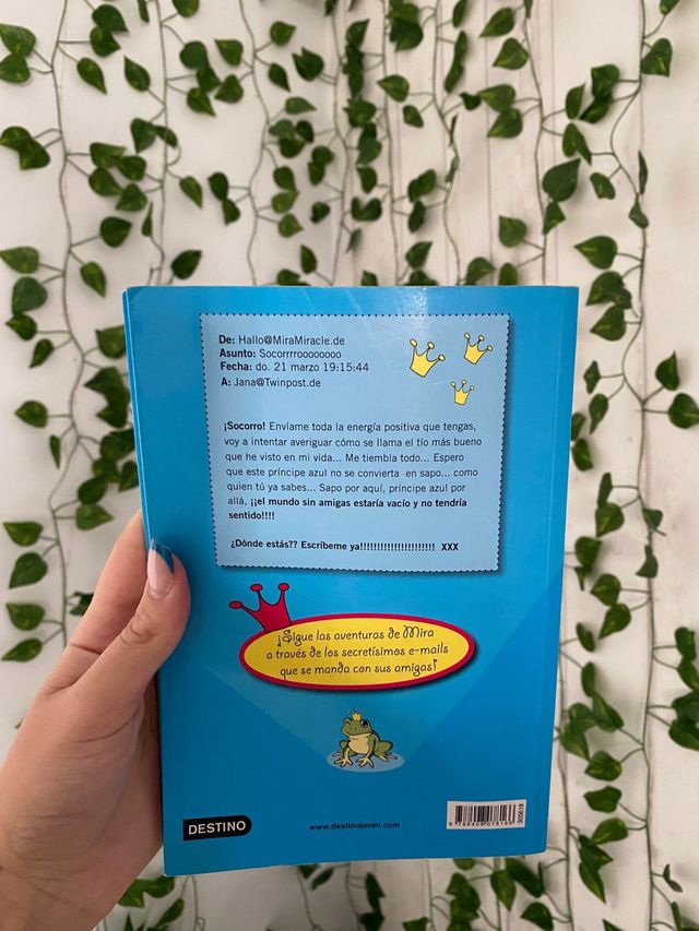 Se Busca Principe Azul No se aceptan Sapos