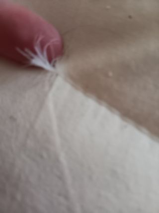 Dos cojines exterior de plumon