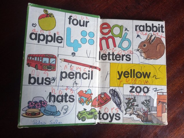 Picture Dictionary. A first ladybird key words.80s