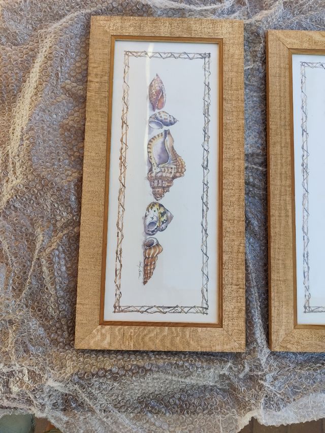 Conjunto de cuadros conchas marinas