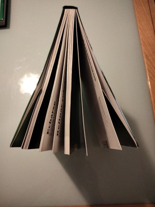 DESPIERTE EL TALENTO DE SU PERRO.