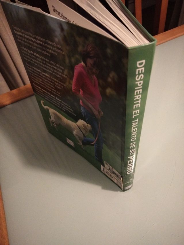 DESPIERTE EL TALENTO DE SU PERRO.