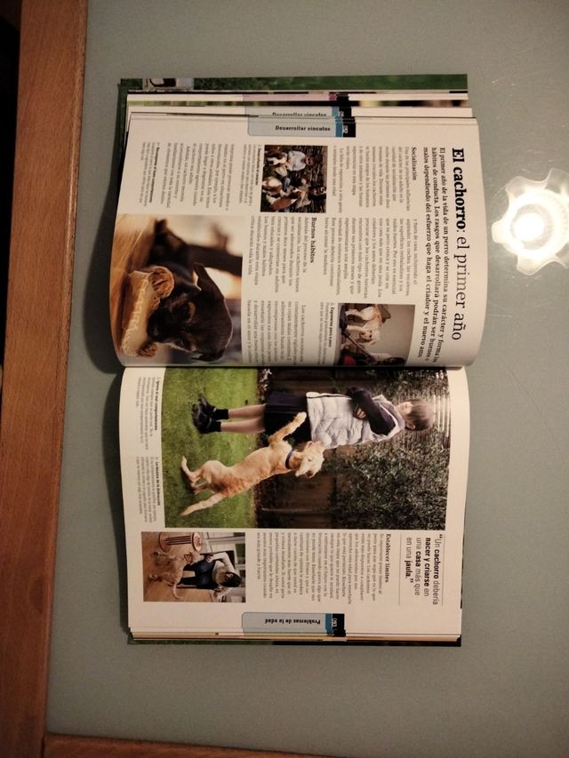 DESPIERTE EL TALENTO DE SU PERRO.