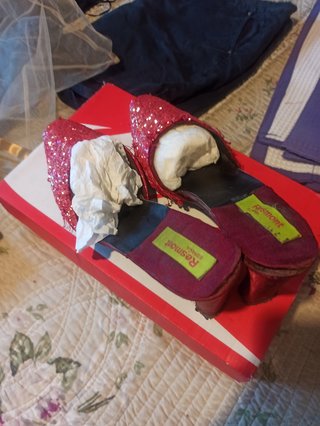 Zapatos fiesta piedras rojas