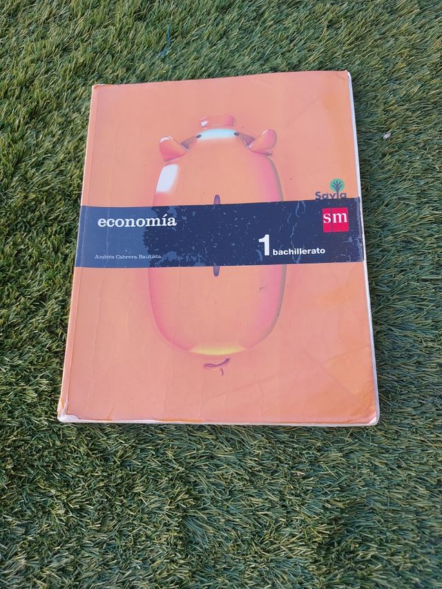 Economía 1 bachillerato