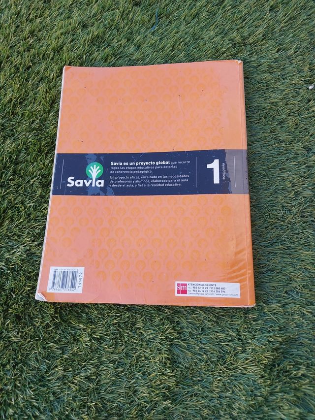 Economía 1 bachillerato