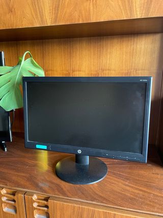 Monitor/pantalla HP V201a de 19,45 pulgadas
