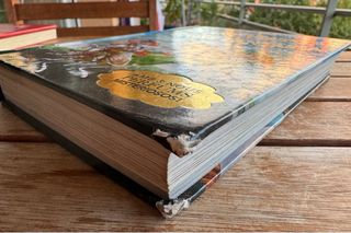 Geronimo Stilton (Quart Viatge al Regne de ...