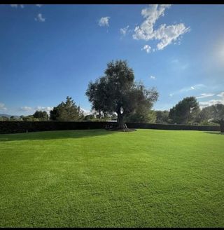 Jardinero profesional 632472573