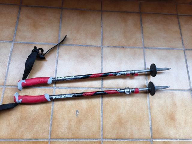 Bastones Black Diamond Expedition