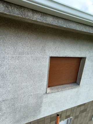 Poda arboles, jardineria, poda en altura Limpieza