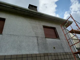 Poda arboles, jardineria, poda en altura Limpieza