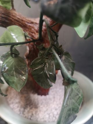 Flores cristal China