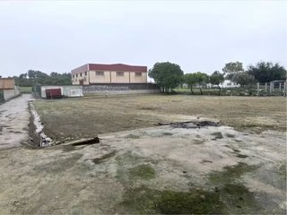 SE VENDE FINCA CON NAVE Y INVERNADERO Y PARCELA