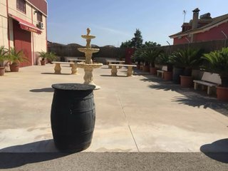 SE VENDE FINCA CON NAVE Y INVERNADERO Y PARCELA