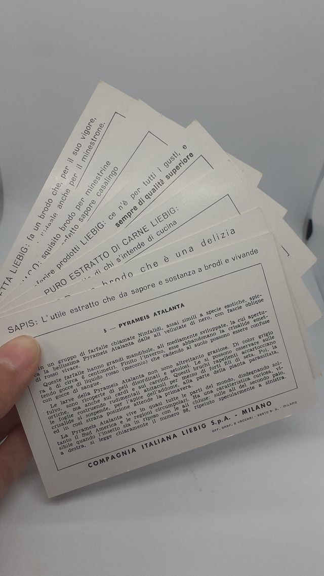 Figurine Liebig Farfalle serie completa fascetta