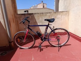 Bicicleta