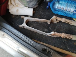 Vasculante derbi variant