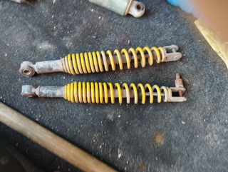 Vasculante derbi variant