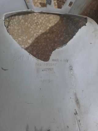 Carena scudo anteriore scarabeo 100