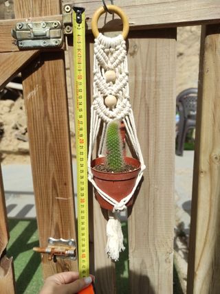 Colgador de plantas macramé