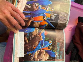 Curso completo ingles