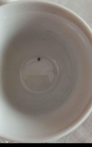 Completo caffè da 2