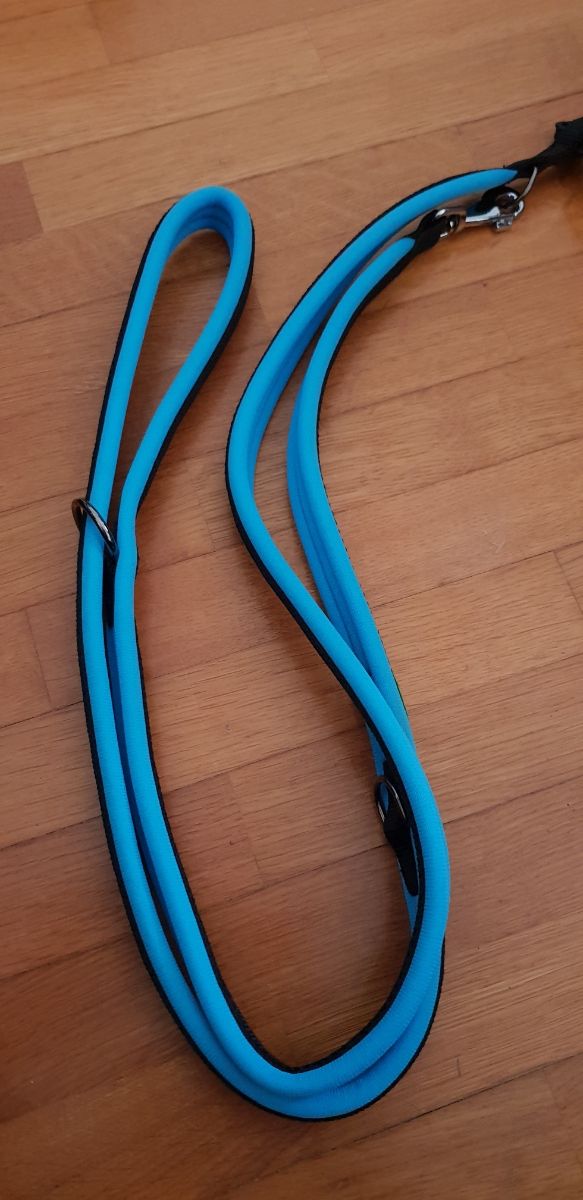 Guinzaglio addestramento cane