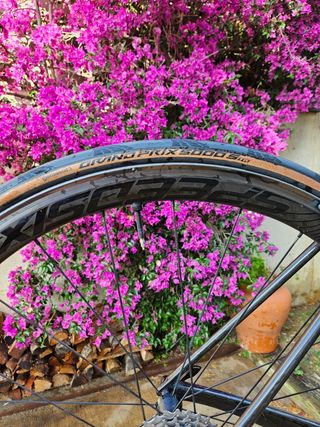 Bicicleta BH Ultralight decapada