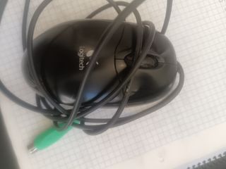 Ratón