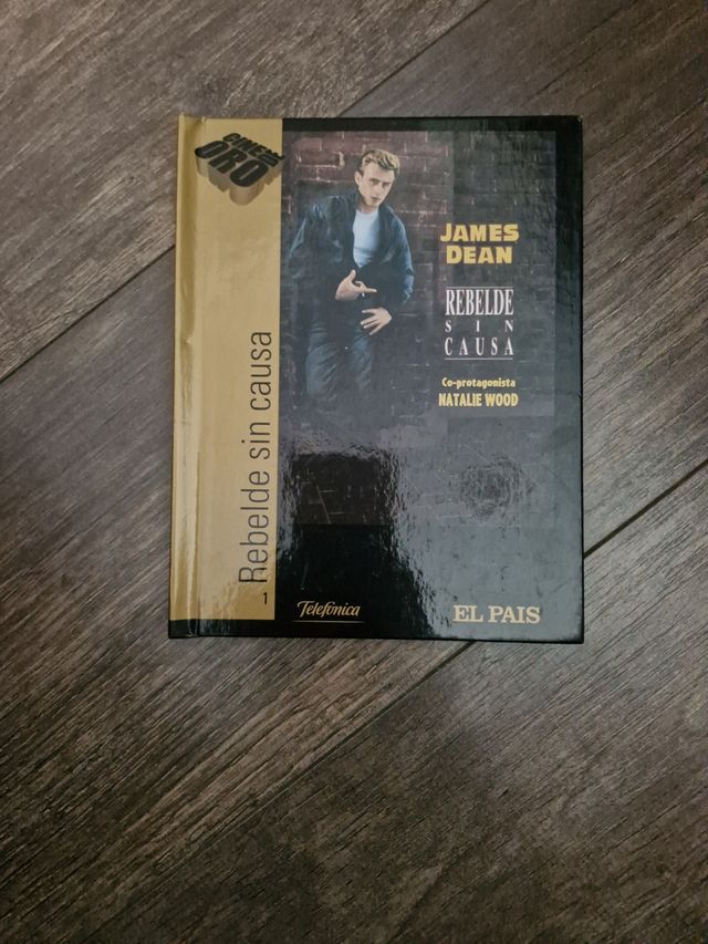 Rebelde sin causa