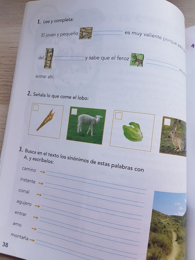 Cuentos 4 estaciones, 2°primaria