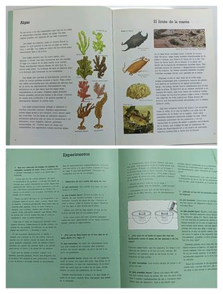 El joven investigador. Ediciones SM