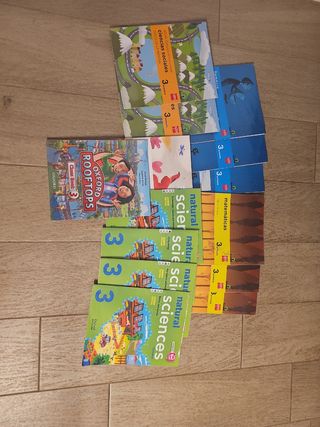 Lote libros 3 primaria