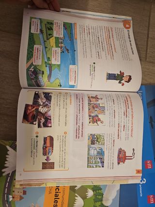 Lote libros 3 primaria