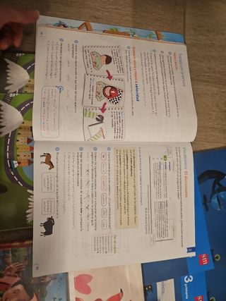 Lote libros 3 primaria