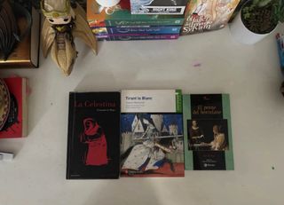Lote de libros escolares