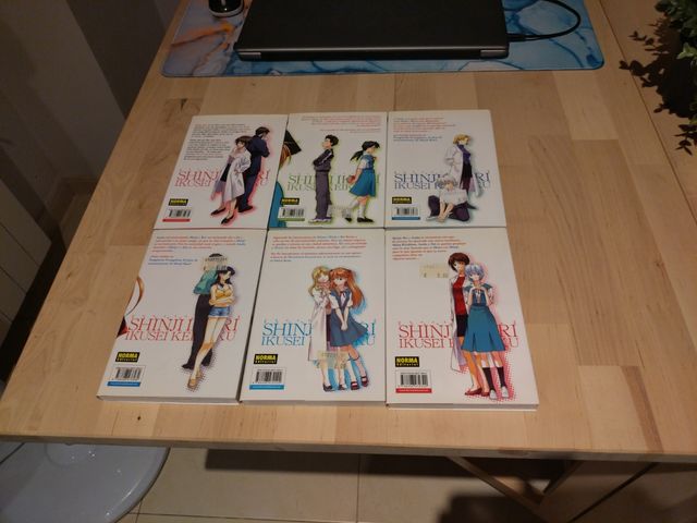 El plan de entrenamiento de shinji ikari