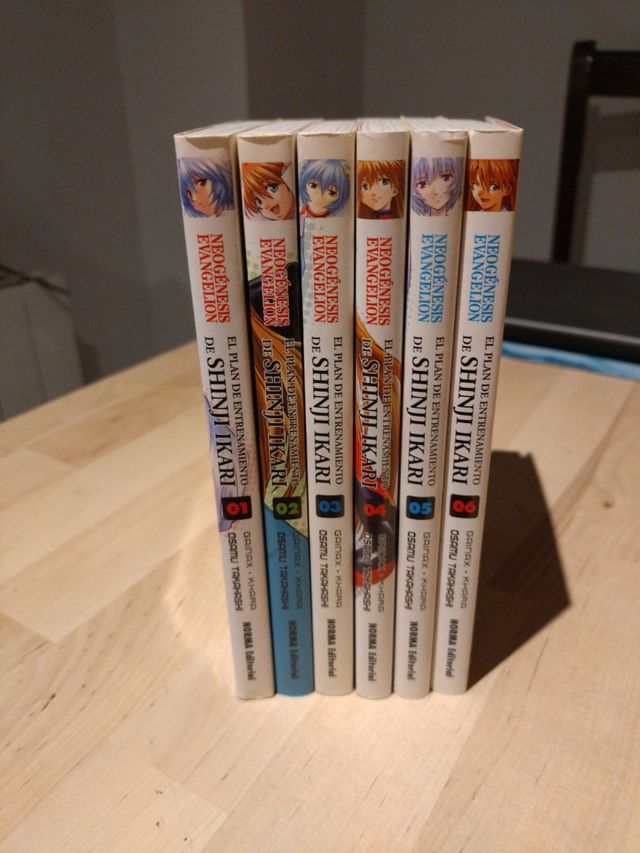 El plan de entrenamiento de shinji ikari